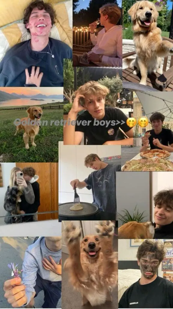 Golden Retriever Boys meme compilation