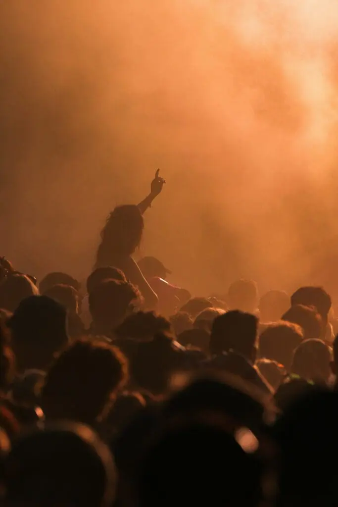 Krankbrother festival crowd dancing during performance
