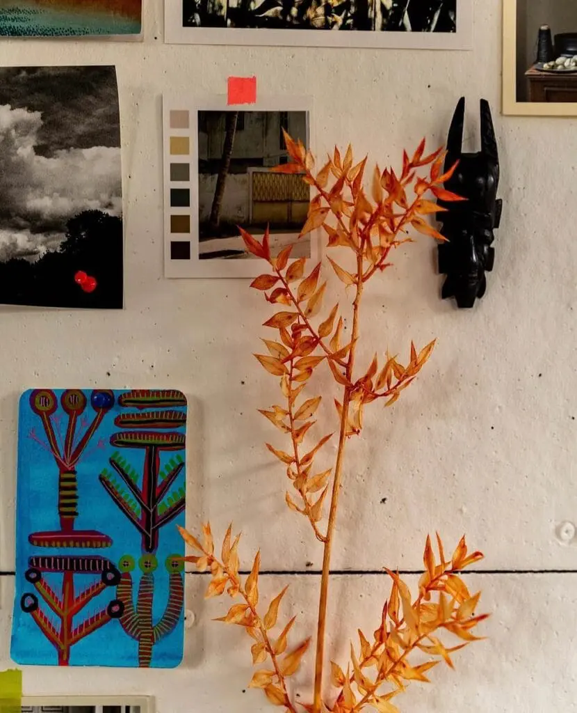 Wall collage of photos and color swatches at Maya Njie’s studio