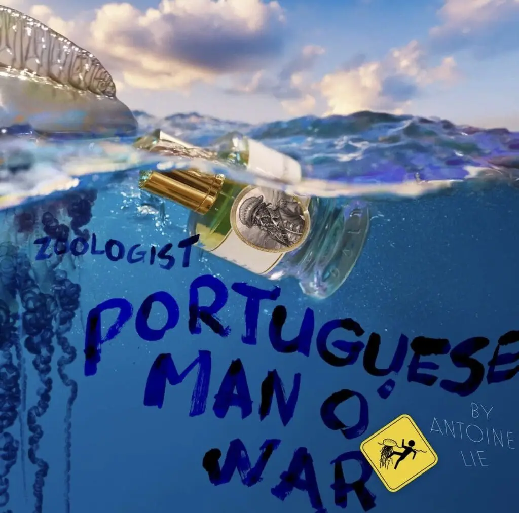 Zoologist Portuguese Man O’ War perfume by Antoine Lie