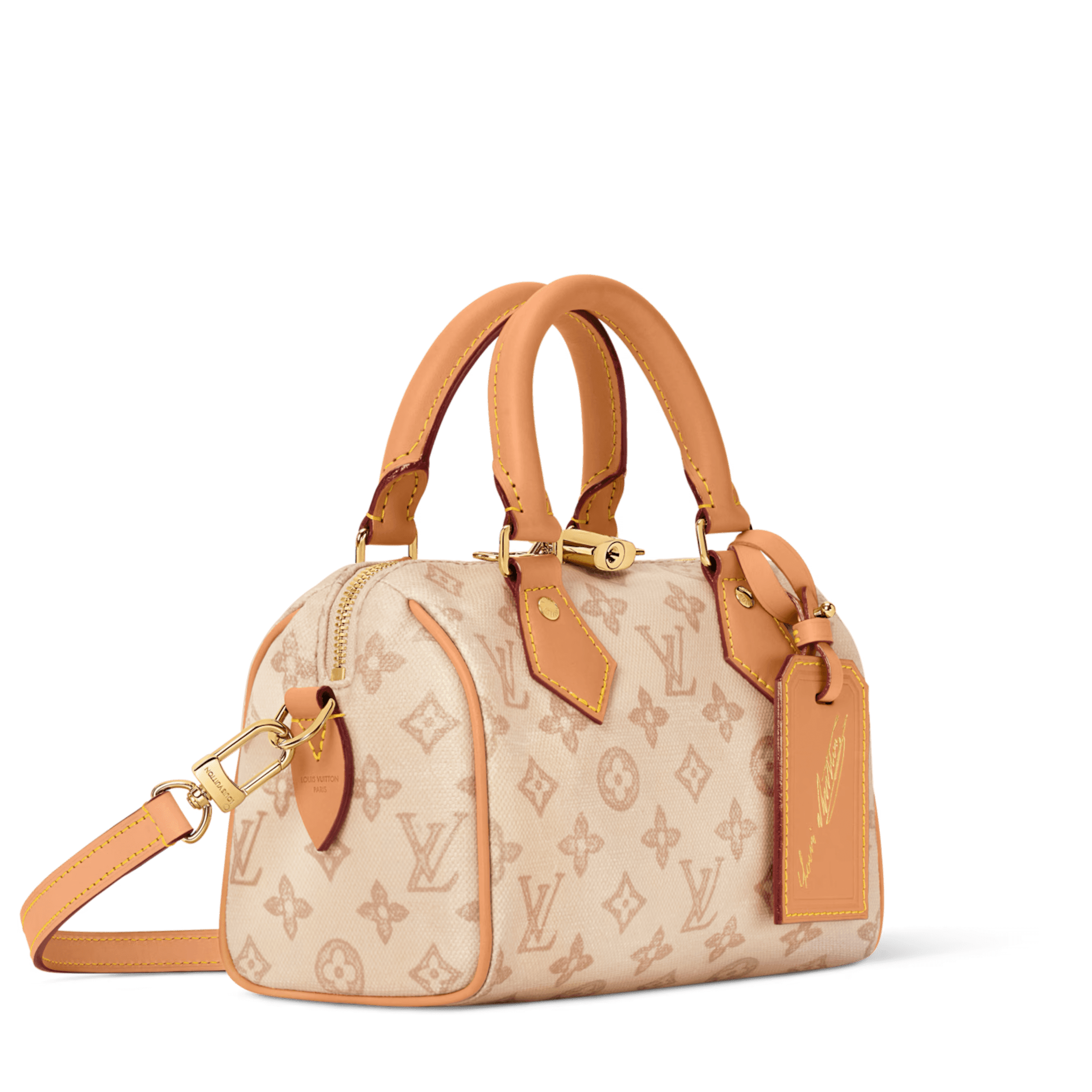 Louis Vuitton Speedy Bandoulière in light monogram canvas