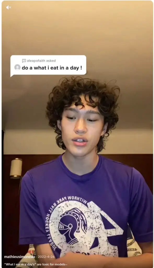 TikTok screenshot model criticizes what i eat in a day trend
